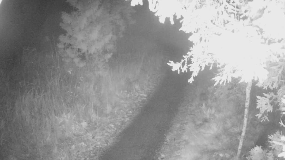 Webcam Tahko – Mäkiautio / El Grande